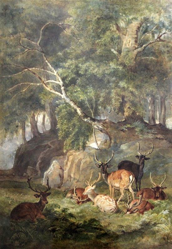 Attributed Robert Hills (1769-1844) Deer in Windsor Park 17.5 x 13in.